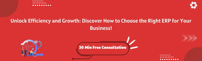 Consultation for Business ERP Solution